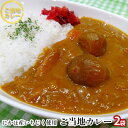 【ふるさと納税】ご当地カレー《ダイニングぶなの森オリジナル》にかほ名産 フルーティーないちじくのカレー（レトルト）220g×2個　【加工食品 惣菜 レトルト お肉 牛肉 カレー いちじくカレー レトルトカレー】