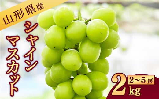 
            《山形県産》 新鮮 シャインマスカット 2kg（2房 - 5房） 【2025年9月中旬～10月頃発送予定】  026-B-JA009
          
