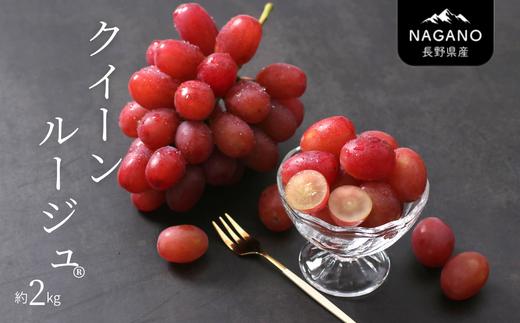 MS35 ぶどう クイーンルージュ®（長野県産秀品） 約2kg / 2026年10月中旬～11月上旬頃 配送予定 // 稀少 新品種 長野県 南信州 高糖度 葡萄 ブドウ クインルージュ 甘い 種なし 皮ごと