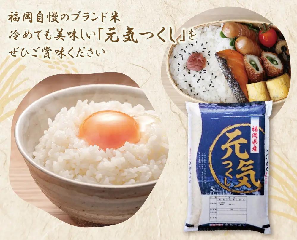Z17-25 令和7年産 研ぐお米 元気つくし5kg