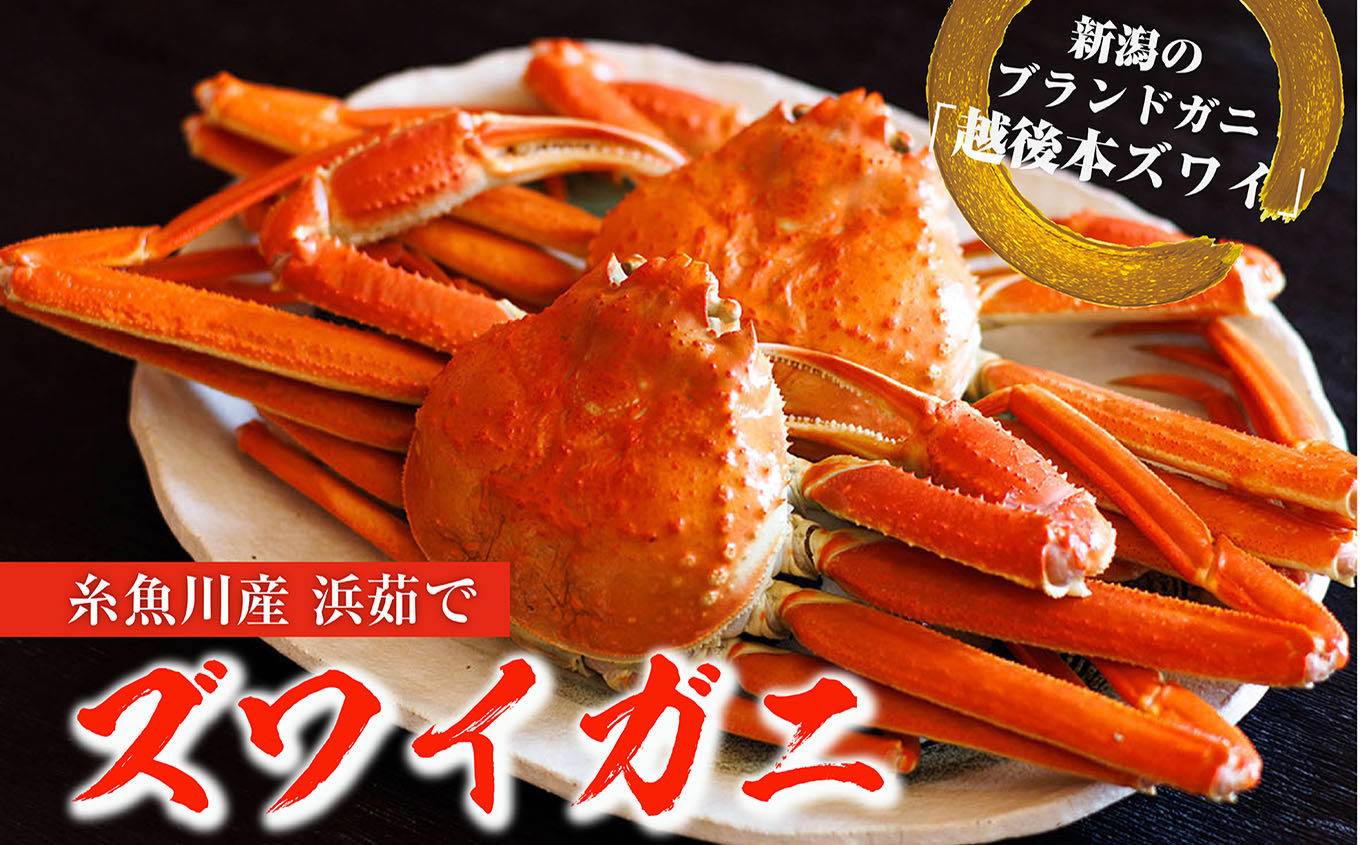
            日本海直送『越後本ズワイガニ』800ｇ以上 2杯 計1.6kg 姿 茹でたてをお届けします【11月～２月限定】 ボイル
          