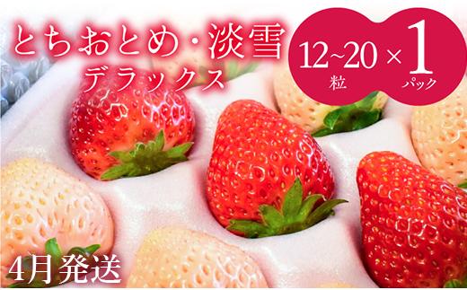 【4月発送】いちご　紅白（とちおとめ・淡雪）DX　1箱（12～20粒）