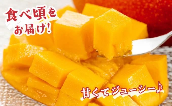 KU019＜令和8年発送分　先行予約！＞＜数量限定＞宮崎完熟マンゴー(2L×2玉) 宮崎県産の完熟マンゴー