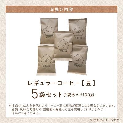 ふるさと納税 南九州市 五稜珈琲100g×5ヶ国セット |  | 03