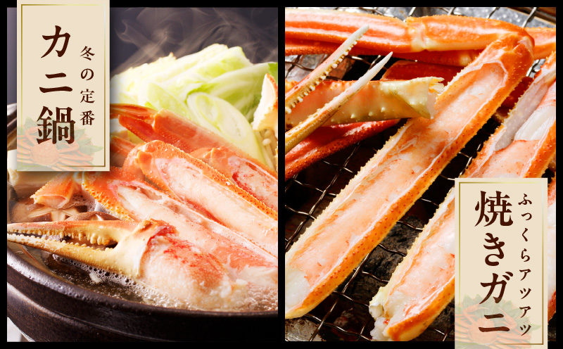 【特大5Lサイズ】ずわい蟹 2kg ボイル済み【4肩前後 昆布仕立て カニ かに 蟹 ズワイ蟹 ズワイカニ 海鮮 魚介 数量限定】 020C407
