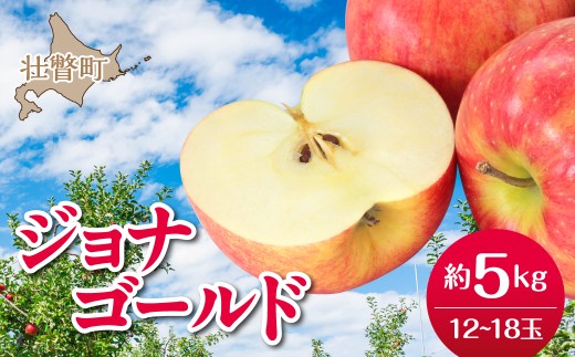 【先行予約】北海道壮瞥町産りんご「ジョナゴールド」約3kg(8～10玉)＜2026年10月下旬よりお届け＞【ふるさと納税 人気 おすすめ ランキング りんご リンゴ 林檎 じょなごーるど 甘い 蜜入り ジュース 酢 送料無料】SBTF019
