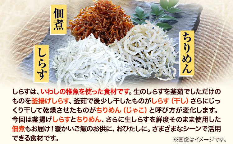 しらす ちりめん 佃煮 合計650g 3色セット「極」 kiwami 大五海産《60日以内に出荷予定(土日祝除く)》和歌山県 日高町  しらす ちりめん 佃煮 セット (F)