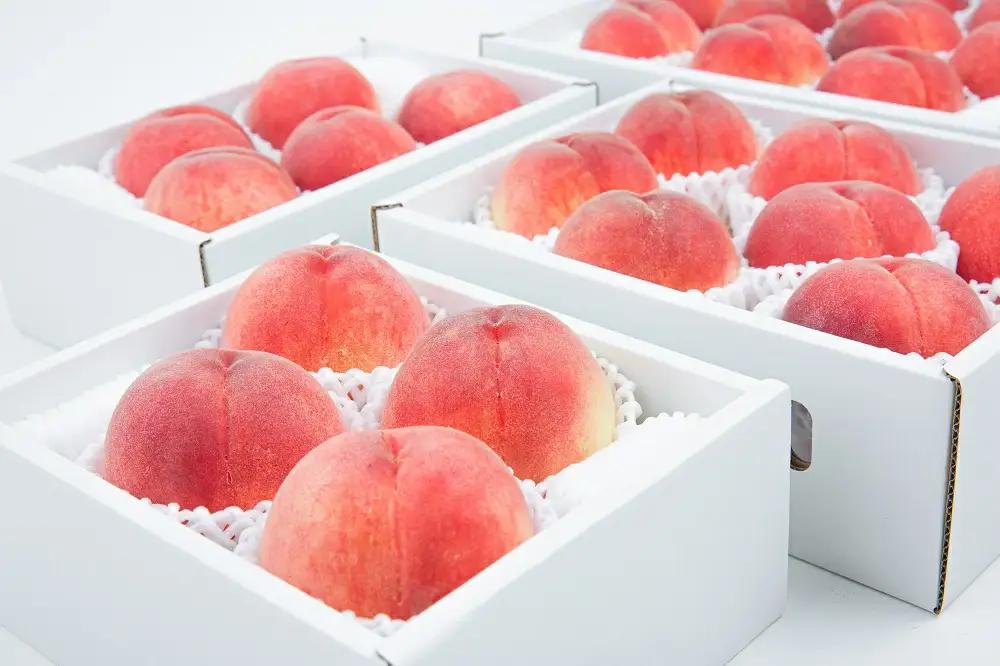 【2026年発送★先行予約】やまなし旬の果実 笛吹の朝採り桃3.0kg 065-019 ｜もも 桃 発送 アミナチュール 山梨 笛吹市 一宮町 ピーチ 果物 フルーツ 新鮮 旬 3.0kg 3.0キロ