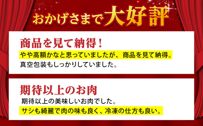【全12回定期便】佐賀牛 リブロース スライス 500g  牛肉 定期便 ロース しゃぶしゃぶ 鍋 A5 黒毛和牛 佐賀 ギフト