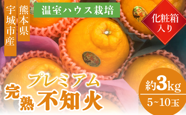 温室ハウス栽培 プレミアム 完熟 不知火（化粧箱入り）3kg 髙橋果樹園【2025年12月上旬から2026年1月下旬発送予定】しらぬい みかん ミカン 柑橘 宇城市産不知火デコポン 不知火はデコポンと同品種 デコポンの品種名が不知火 デコポンはJA熊本うきを代表するブランド名 デコポンR