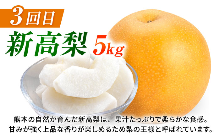 【先行予約】【数量限定】【3回定期便】 梨 約5kg 計約15kg（豊水・秋月・新高）【日本フルーツ株式会社】 [ZFJ024]