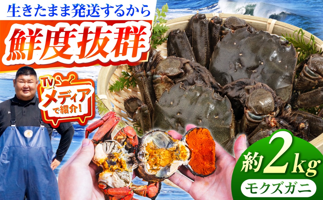 【先行予約】【2026年11月下旬以降順次発送】新鮮 活モクズガニ 2kg (10〜24杯前後) オス メス セット《築上町》【明青丸】 蟹 カニ カニ味噌[ABCB006]