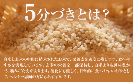 熊本県菊池産 ヒノヒカリ 5kg×4袋 計20kg 5分づき米 お米 分づき米《30日以内に出荷予定（土日祝除く）》