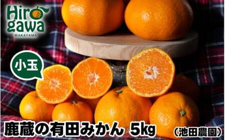 鹿蔵の 有田 みかん 訳あり 小玉 5kg 光センサー 選果 / 温州みかん 有田みかん 甘い 家庭用 和歌山 柑橘 ※2026年11月順次発送予定 ※北海道・沖縄・離島への配送不可 【ikd004-cs-5-novC】