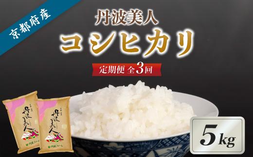 《3回 毎月お届け》【定期便】京都府産コシヒカリ「丹波美人」白米5kg 【 お米 米 白米 精米 こしひかり 国産 選べる 定期便 毎月発送 京都 綾部 】