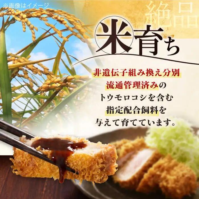 【全6回定期便】平田牧場 ロース ステーキ 800g  (100g×8枚) ※藻塩ナシ 豚肉 とんかつ 生姜焼き[AJAP092]