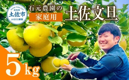 【先行予約】石元農園の土佐文旦 家庭用 約5kg（7〜12玉） 高知県土佐市 【石元農園】 [BQBH001]