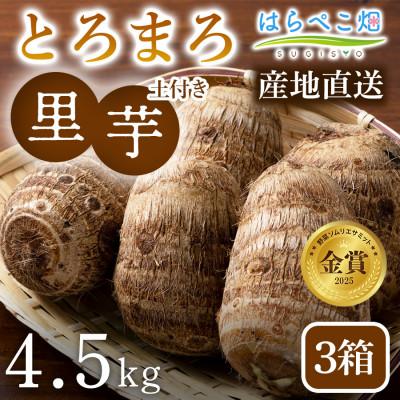 ふるさと納税 西尾市 【粘りと甘みが段違い】里芋『とろまろ』土付き・4.5kg3箱・H122