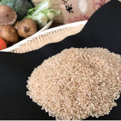 ふるさと納税 潮来市 【玄米2kg】『身体が喜ぶ野菜とお米』詰め合わせ(おまかせ)潮来はぐくみのもり |  | 01