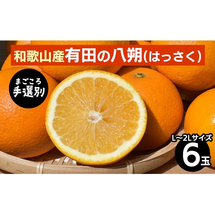 【先行予約】 有田の八朔 （はっさく） 6玉×1箱 L～2L サイズ混合 和歌山県産