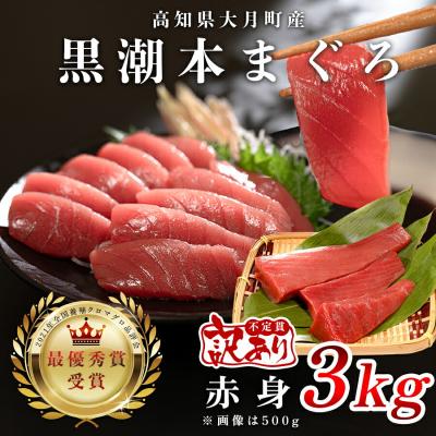 ふるさと納税 大月町 訳あり 不定貫 国産 黒潮本まぐろ 赤身 計3kg