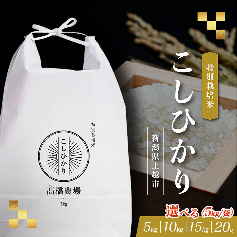 【ふるさと納税】先行予約 令和8年 令和7年 新潟県産 コシヒカリ 5kg 10kg 15kg 20kg 白米 精米 特別栽培米 定期便 安全・安心 こしひかり 上越市 高橋農場 白米 精米 米 送料無料　お届け：令和7年産：ご注文から順次発送、令和8年産：10月下旬より順次出荷