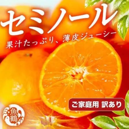 【ご家庭用訳あり】ジューシー柑橘　セミノールオレンジ　5kg【配送不可地域：離島】【1745645】