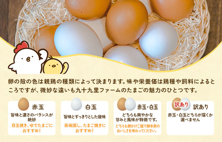 《訳あり》九十九里ファームこだわりたまご 30個～あおい海・みどりの里～（赤玉or白玉） ／ たまご 卵 玉子 タマゴ 30個 卵かけご飯 新鮮 旨み 甘み 贈答用 贈答 ギフト 贈り物 訳あり 訳ア