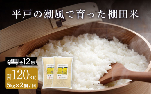 【全12回定期便】平戸の潮風で育った 棚田米 計120kg （5kg×2個/回） 平戸市 / ひらど新鮮市場 [KAB174]