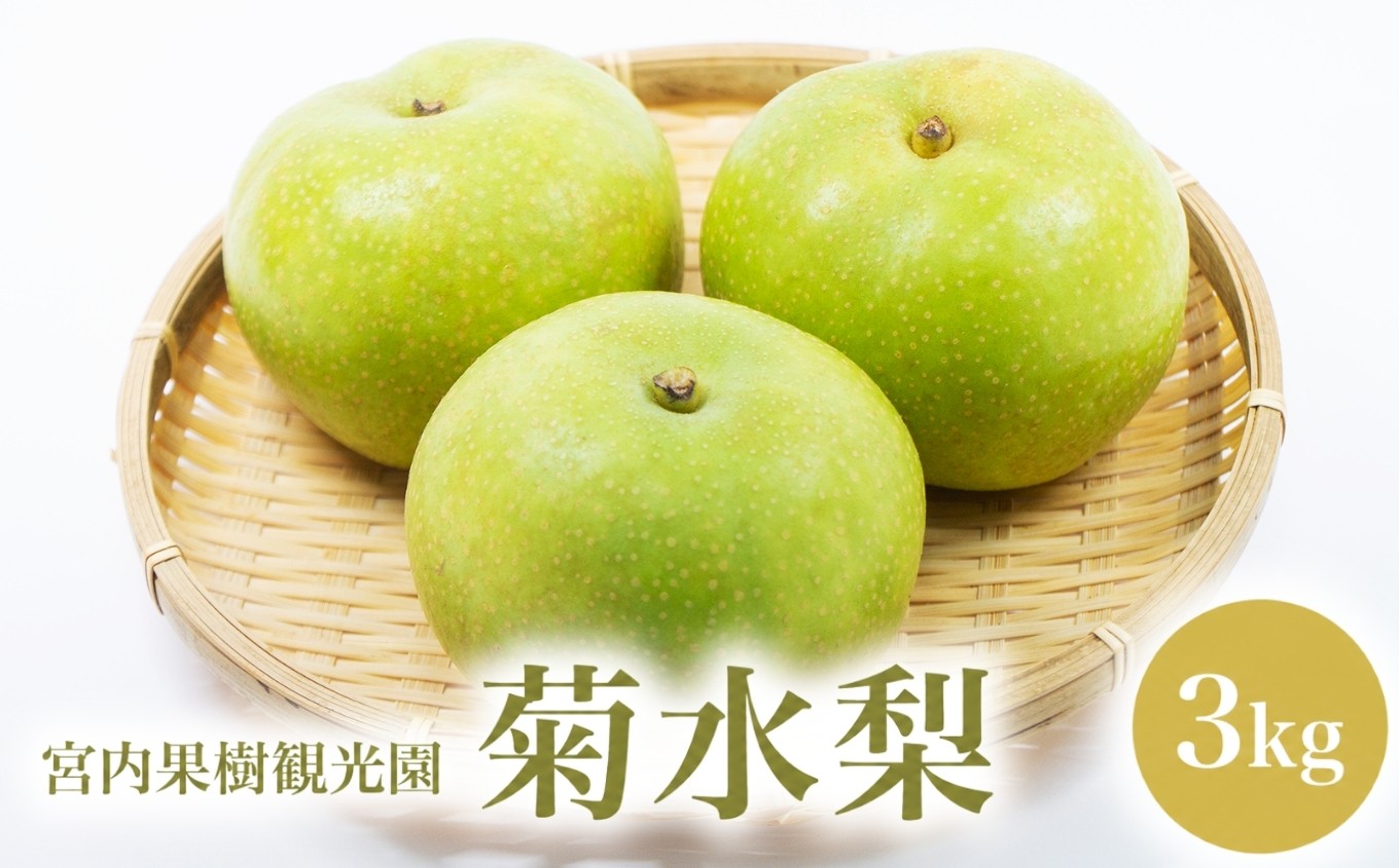 
                  【先行予約】【数量限定】宮内果樹観光園の菊水梨 約3kg | フルーツ 果物 くだもの 梨 なし ナシ 菊水 菊水梨 産地直送 大分県 中津市
                