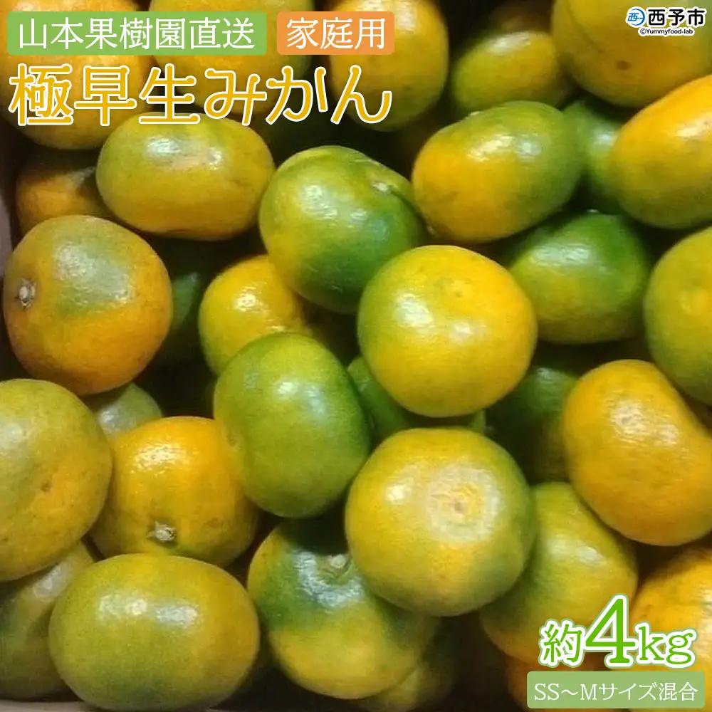 ＜極早生みかん 約4kg（家庭用・SS～Mサイズ混合） ＞ 果物 オレンジ フルーツ 柑橘 食べて応援 特産品 山本果樹園 西宇和 愛媛県 西予市 【常温】『2026年9月中旬～10月上旬までに順次出荷予定』MYK0001