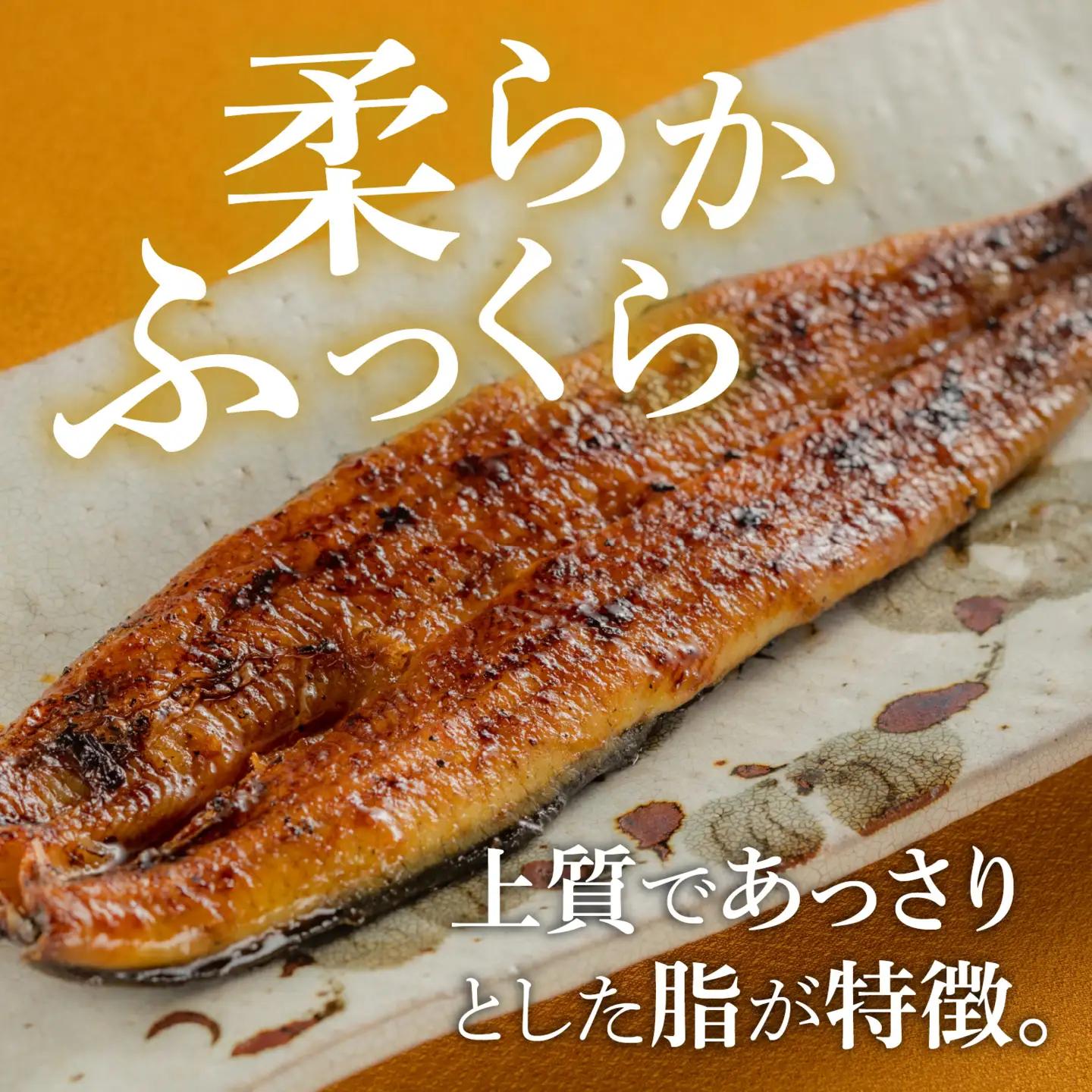 【やなのうなぎ 観光荘】シルクうなぎ蒲焼真空パック 大（125ｇ以上）×2パック