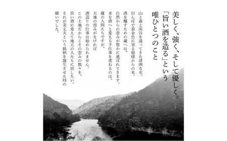 ふるさと納税限定 美丈夫『田野ラベル』一升瓶 純米酒＆純米吟醸2種 1800ml×各1本セット【美丈夫】