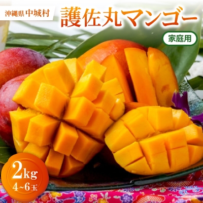 
                  【2027年6月から順次発送・家庭用】護佐丸マンゴー2.0kg(4～6玉)【1676052】
                