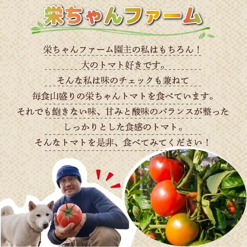 【2027年2月発送】大玉トマト 1kg 大 4玉 以上トマト
