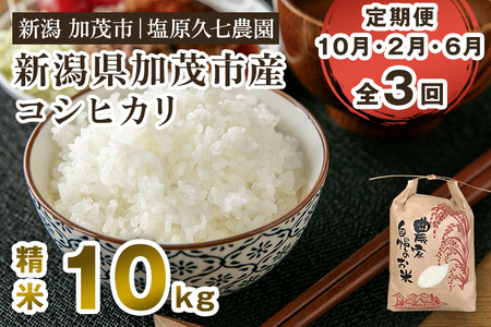 【令和7年産新米先行予約】【定期便3回10月・2月・6月にお届け】新潟県加茂市産コシヒカリ 精米10kg（5kg×2袋） 《10月上旬～順次出荷》 新潟産コシヒカリ 新潟米 お米 ライス ごはん ご飯