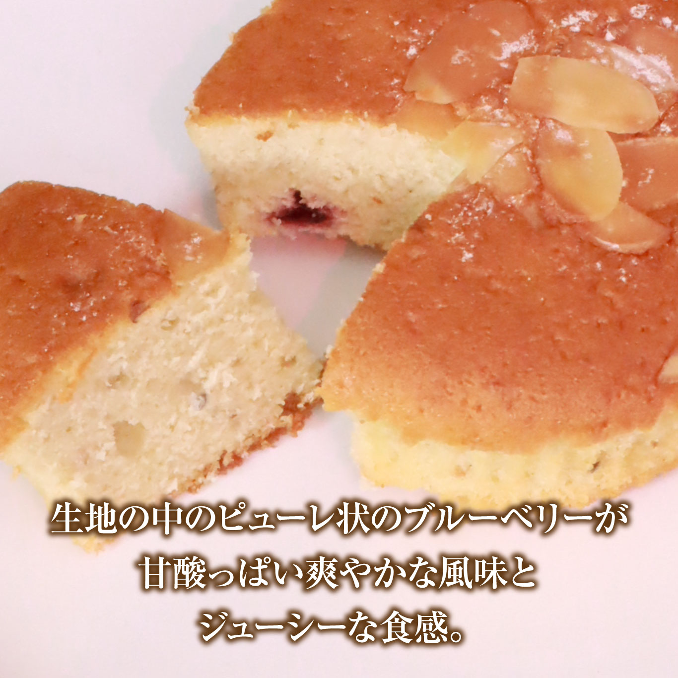 北海道上ノ国町　もがり屋のブルーベリー マドレーヌ 5個入 洋菓子　菓子　ケーキ　焼き菓子　お土産　プレゼント　個包装