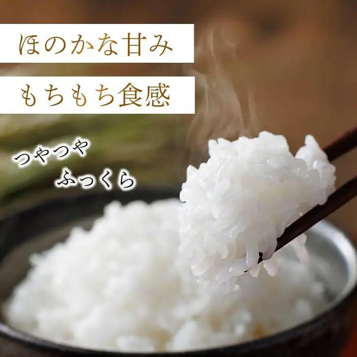 ＜数量限定＞夢つくし 精白米 (15kg)お米 米  国産 福岡県産 ブランド米  15kg  常温＜北海道・沖縄・離島配送不可＞ 【ksg1875】