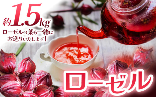 ローゼル(ローゼルの葉同梱) 1.5kg | ローゼル 農薬不使用 化学肥料不使用 珍しい 栃木県 特産品