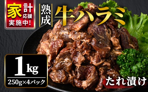 
                  熟成牛ハラミ 1kg (250g×4パック) たれ 味付 小分け 冷凍 焼肉 焼き肉 牛 牛肉 ビーフ ハラミ BBQ 【そうざい男しゃく（株式会社池延）】【ho1468-1】
                