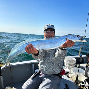 釣り船 WING ルアー 乗合 利用券 1人 釣り 乗り合い 船 魚釣り フィッシング 乗船券 チケット 魚 さかな 体験 ジギング エギング ブリ ハマチ アジ 春 夏 秋 冬 篠島 愛知県 南知多