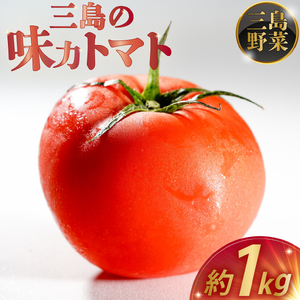  予約受付中 三島の味力トマト 1kg 完熟 高糖度 フルーツトマト とまと 贈答用 1万円以下 産地直送 国産 朝採れ 新鮮 サラダ ジュース 冷やしトマト 夏野菜 お取り寄せ グルメ 三島市 静岡県