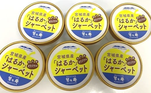 りんご「はるか」シャーベット　【04301-0202】_イメージ2