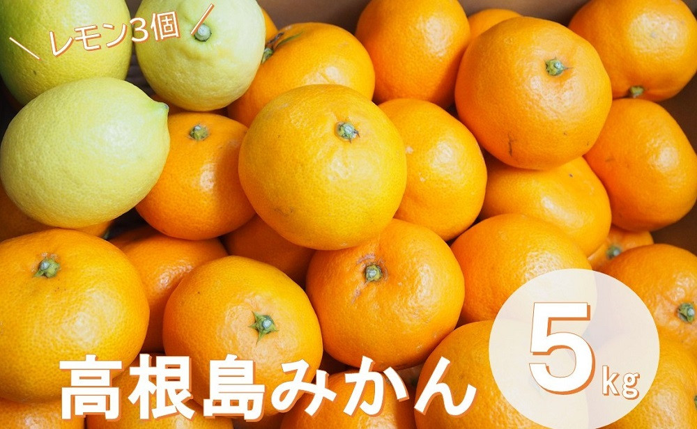 
            こだわり栽培　高根島みかん 5kg  レモン3個入り ＜2024年11月下旬より発送開始＞
          