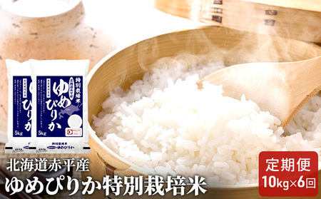 特別栽培米 北海道産 ゆめぴりか【10kg(5kg×2袋)】【定期便6回】