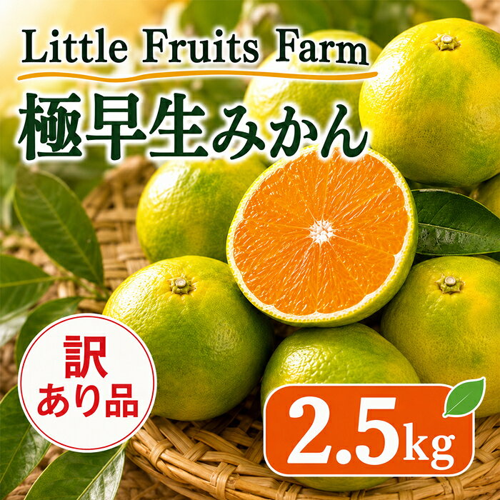 【ふるさと納税】 【訳あり品】リトルフルーツファームの極早生みかん 約2.5kg ／ ミカン 柑橘類 訳あり 極早生 温州みかん 2.5kg フルーツ 果物 先行予約＜116-011＞