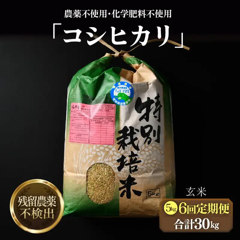 【先行予約】【令和8年産 新米】定期便《6ヶ月連続お届け》コシヒカリ 玄米 5kg × 6回（計30kg）特別栽培米 農薬不使用 化学肥料不使用 ／ 残留農薬ゼロ 高品質 鮮度抜群 福井県産 ブランド