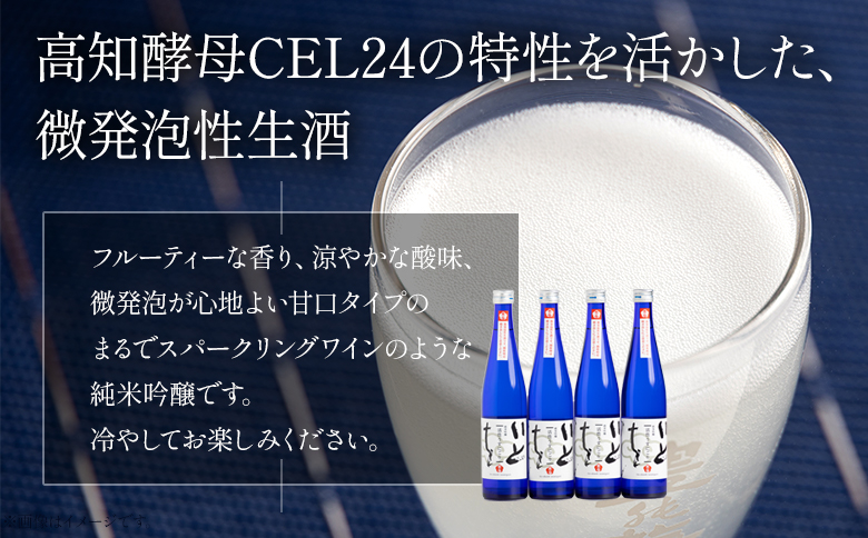 【7日程度で発送】日本酒 スパークリングワイン風！純米吟醸 いとをかし 活性うすにごり 500ml×4本 スピード gs-0063