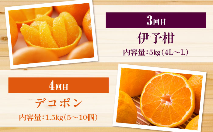 【全6回定期便】 【2025年11月以降毎月発送】えひめかんきつ定期便 愛媛県大洲市/愛媛県観光物産協会 みかん 日の丸ゴールド 紅まどんな 伊予柑 デコポン せとか 河内晩柑 [AGDN001]