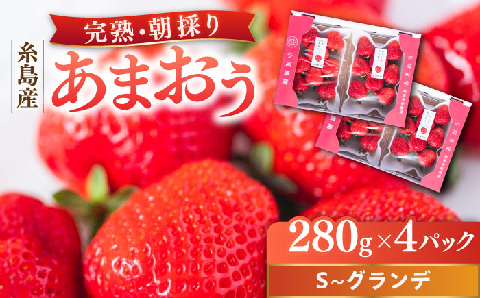 農家直送！ 糸島産 完熟あまおう 280g×4パック　(S-Gサイズ) 糸島市 / 小河農園 [AJN004]